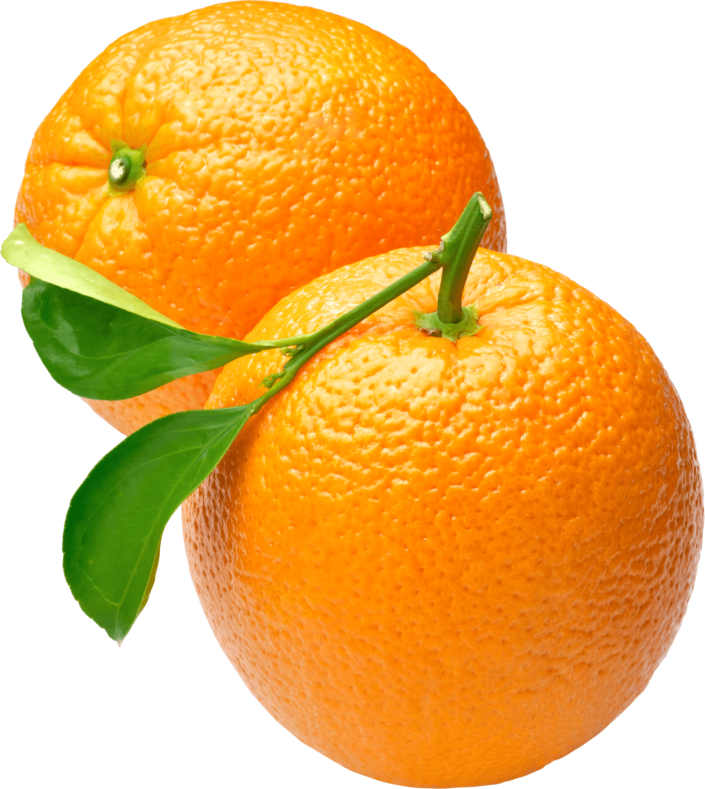 Venta Naranjas